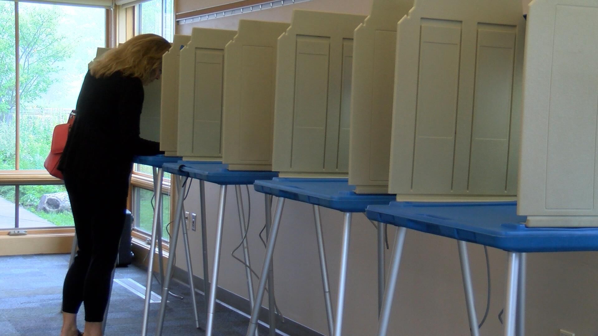 La Crosse Voter.jpg